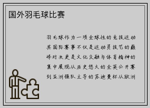 国外羽毛球比赛
