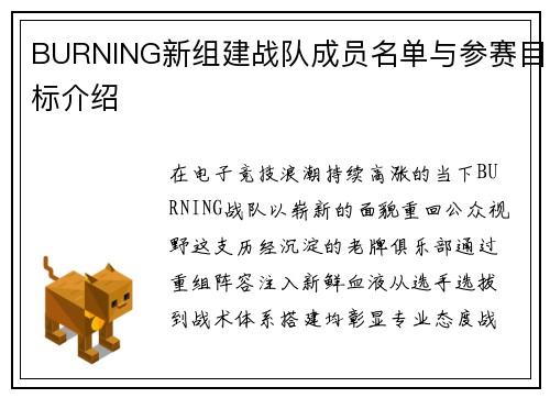 BURNING新组建战队成员名单与参赛目标介绍